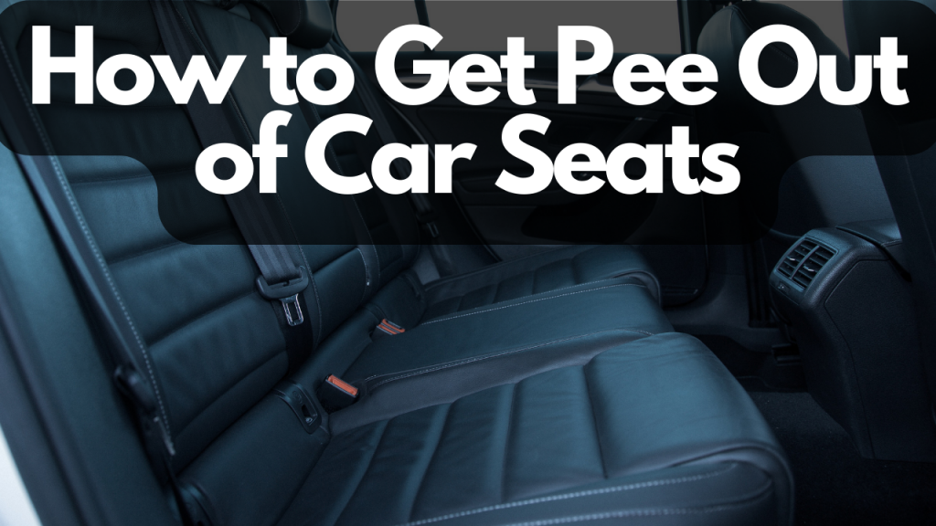 how-to-get-pee-out-of-car-seats-in-6-steps-cloth-leather