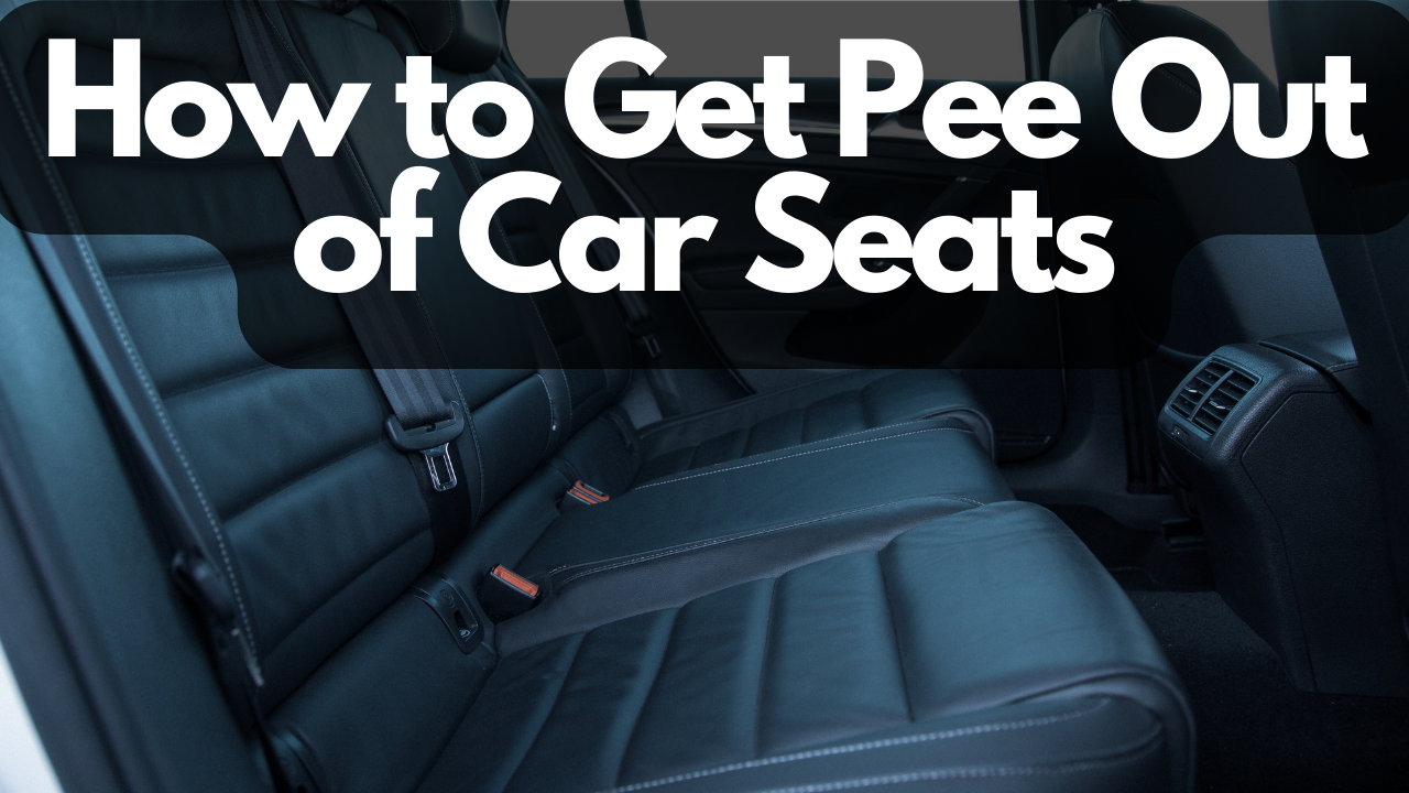 how to get pee out of car seats
