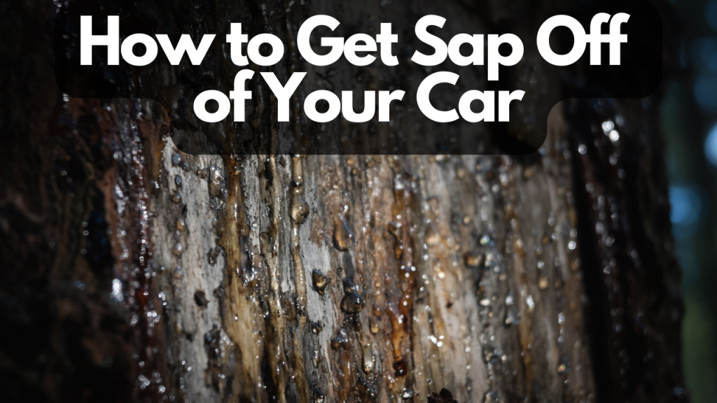 getting-sap-off-of-car