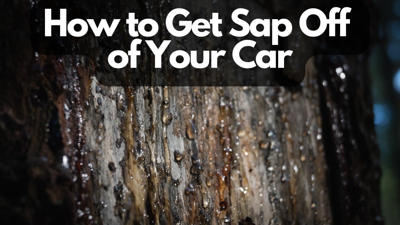 how to get sap off car